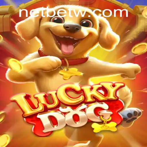Discover the World of LuckyDog: A Guide to Its Adventures and Rules